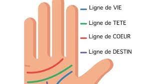 Amélioration de soi par la lecture des lignes de la main