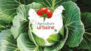 Tour d’horizon sur l’agriculture urbaine