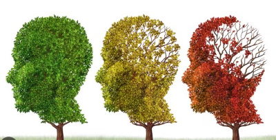 Alzheimer et démence: présentation, prévention et traitements