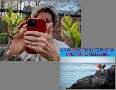 PHOTO  avec votre cellulaire (La composition des photos en nature, paysages et voyages)