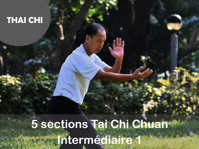 TAI CHI-  5 sections Tai Chi chuan - intermédiaire 1 - (Mardi - 10 h)