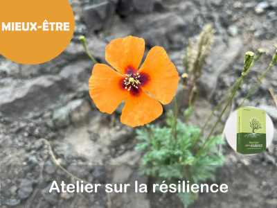 MIEUX-ÊTRE : Atelier sur la résilience