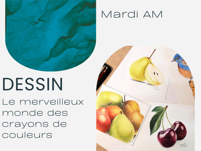 DESSIN - Le merveilleux monde des crayons de couleurs